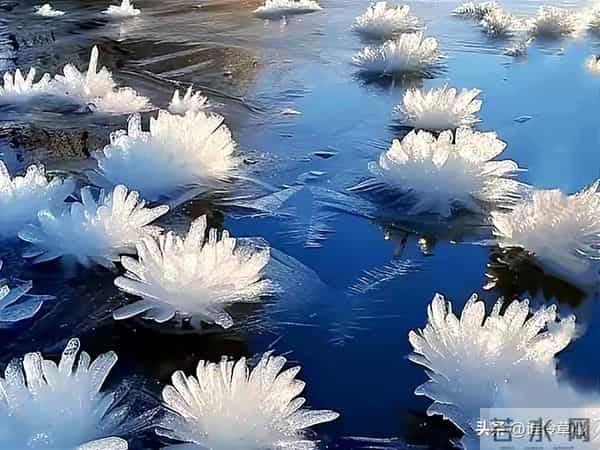 妹妹让我凌晨4点送她去机场老公却拽住我：别去，她刚发了动态！