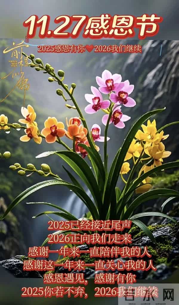 初冬第19天，今日感恩节，感恩遇见，感谢有你