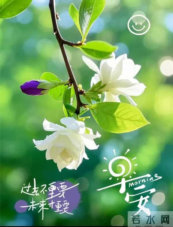 2025年11月第27天,周四早晨祝福语,早安幸福安康图片