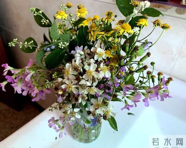 无怨无悔爱着你,痴念成疾也无悔