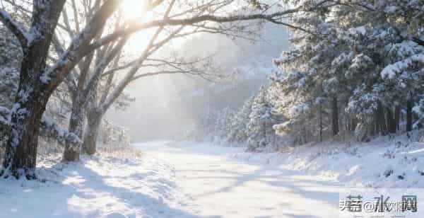 冬安:于清简时光里,种满心暖与从容