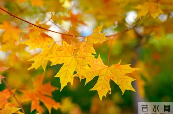 老了才明白：如果一个人独处很舒服，说明你就是个非常强大的人！