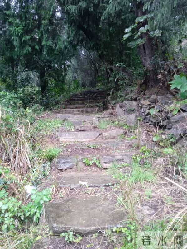 一个人的独居生活，心情好可以原谅一切，心情不好只想找根绳子