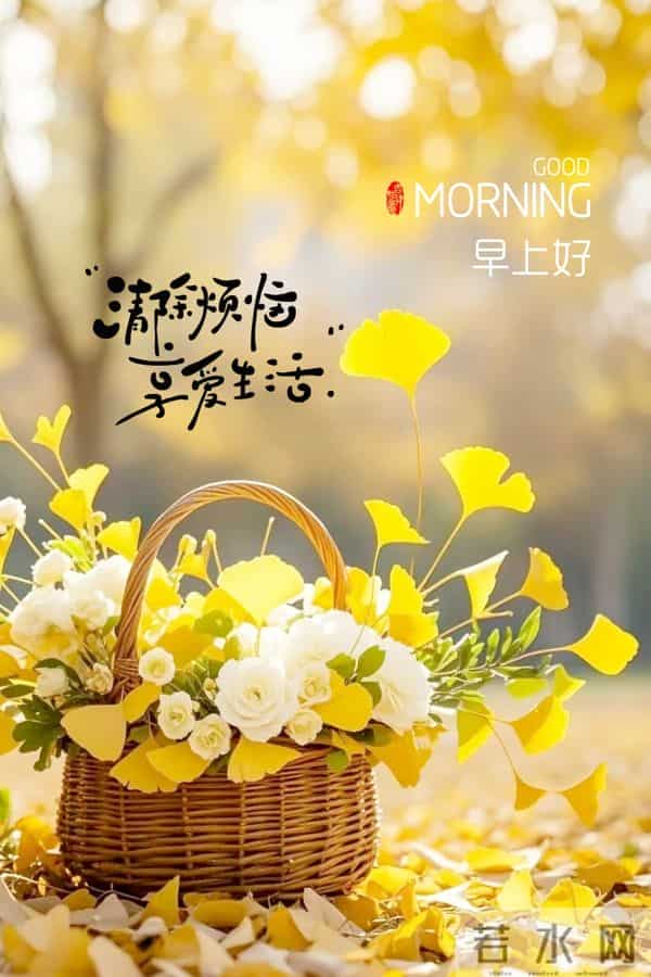 感恩节 - 精美早安图文祝福。以感恩,赴冬暖。”