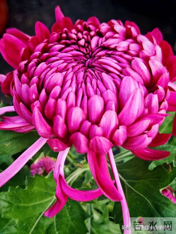 两性关系，夫妻越是喜欢分房睡，越是说明这三点。一定要重视！