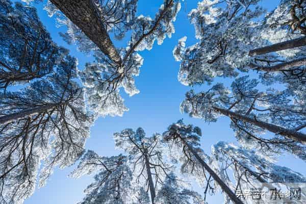 人生下半场，最好的活法：与世界温柔相处，与自己安然相伴