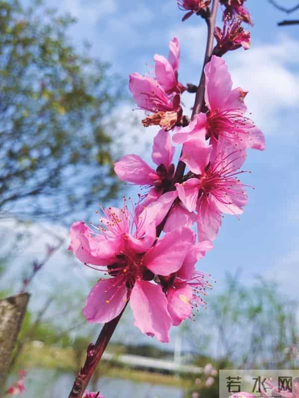 让你享用一辈子的人生金句:句句清醒,句句治愈,句句入心