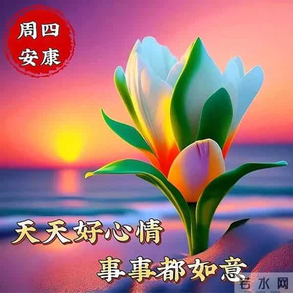 「冬日暖阳」11月27日早上好！初冬的早晨祝福问候语，早安图片