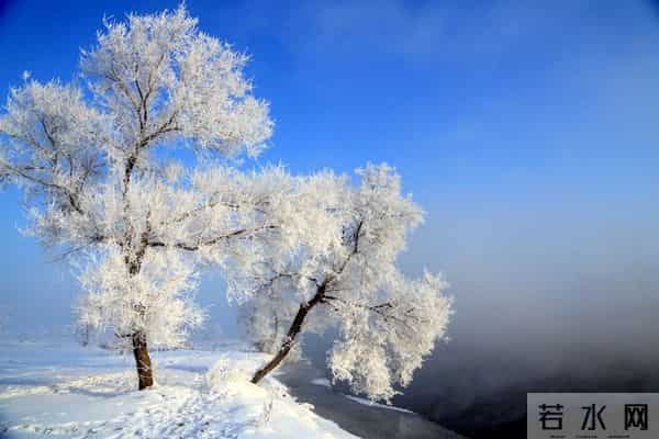 妹妹让我凌晨4点送她去机场老公却拽住我：别去，她刚发了动态！