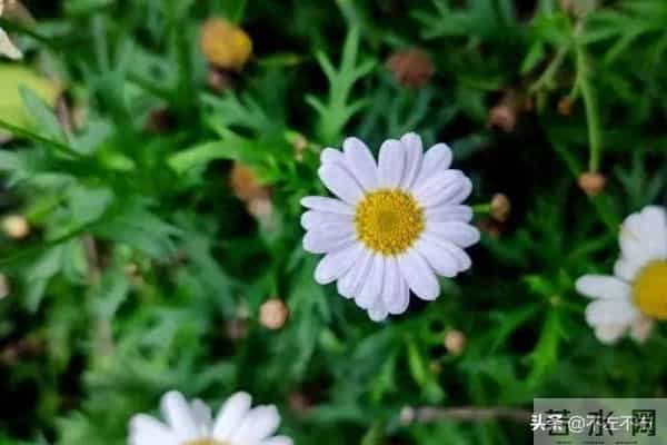 经典十句话，一辈子受用！（建议收藏）