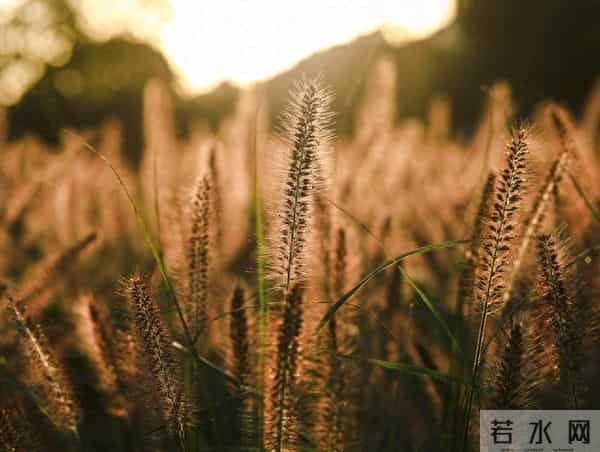 “一辈子都写不出的神仙句子,我帮你整理了28句,喜欢自取”