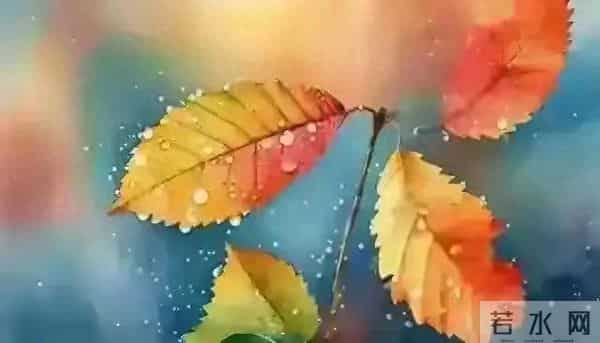 发现怪现象：越是独来独往没有朋友不合群的人，人品往往越没问题