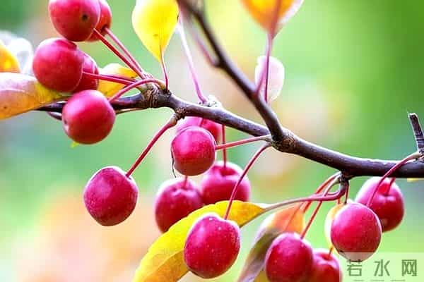 一辈子,有三个人不能得罪,得罪一个都难安稳过下半生!