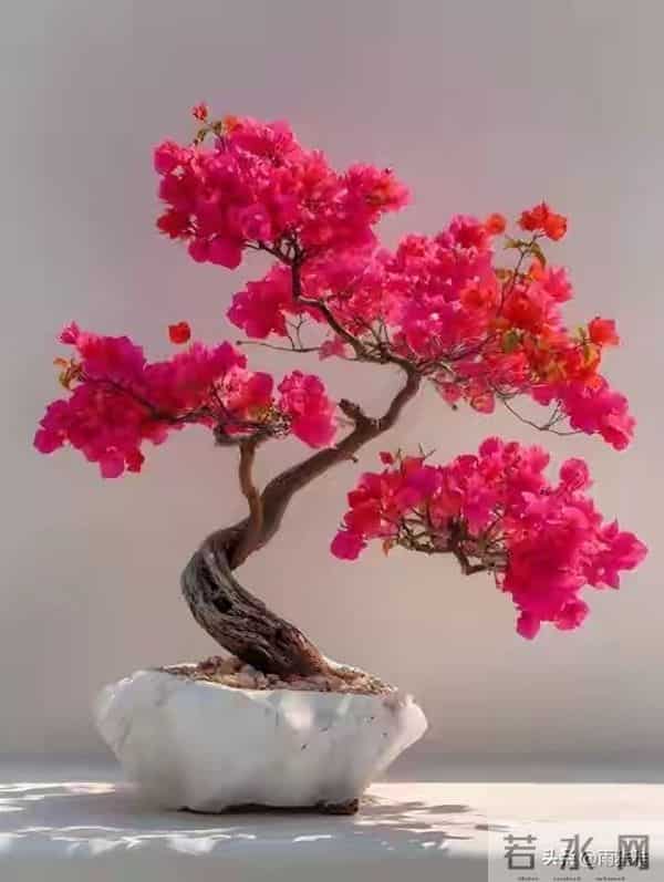 老天爷在帮你,贵人在助你,再不开门迎接就晚了