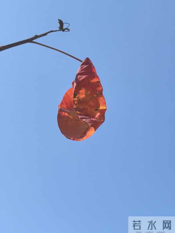 散文-世间所有的遇见,都值得感恩。好是恩情,坏是提醒