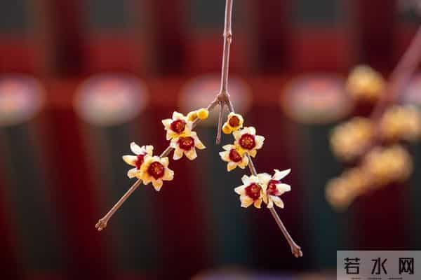 人生醒悟，世上本无事，庸人自扰之！