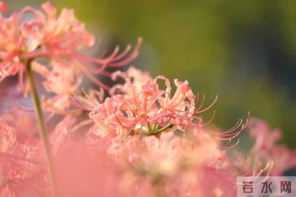 两性关系：男人过六十，永远不要在妻子面前，做这4件事