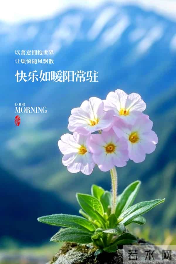 感恩节 - 精美早安图文祝福。以感恩,赴冬暖。”