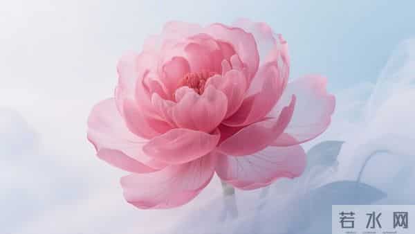 如果你已经六十岁,请看完此文,一定对你有所帮助,