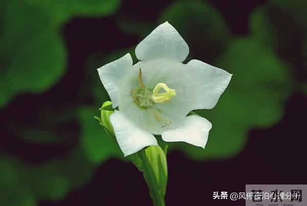 男女暧昧、越界后,值得余生相伴的人,会有4个发光条件