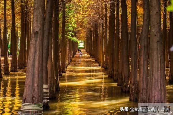 男女关系-99%男人出轨的共性-把妻子熬成了陌生人