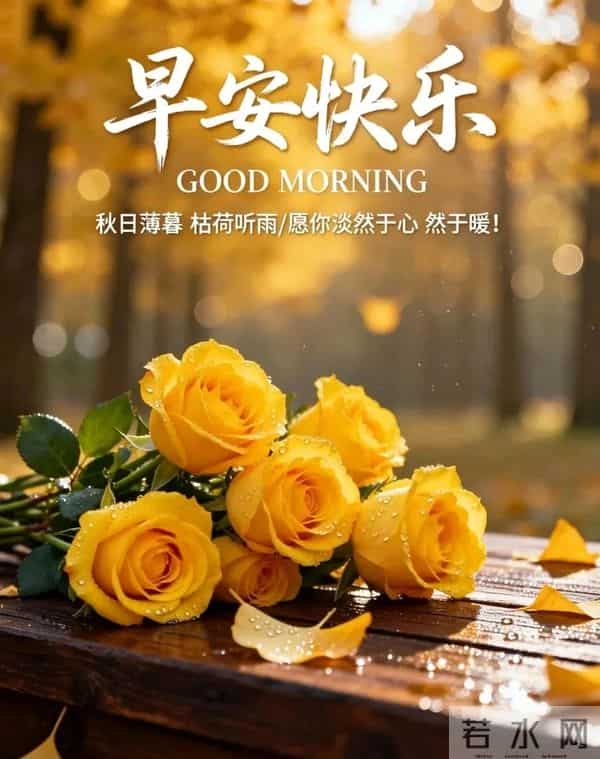 新的一天,新的开始!一句早安,温暖心房;一份祝福,伴你身旁。