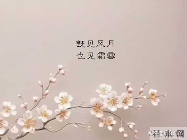 余生很短，别让遗憾太长。