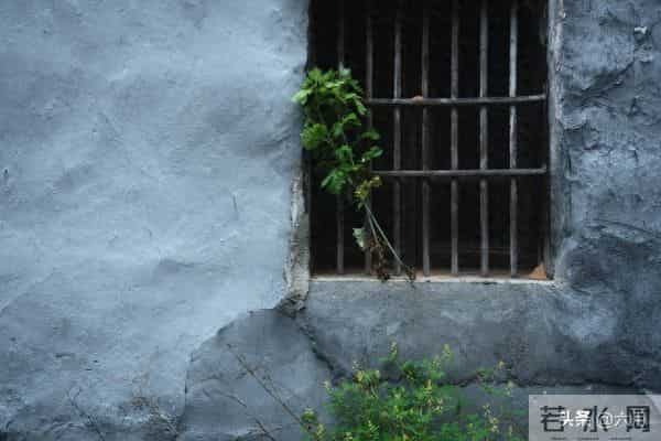 故事：婆媳关系（2）