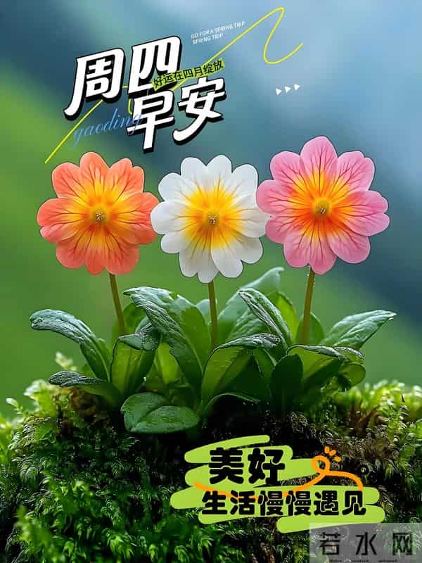「冬日暖阳」11月27日早上好！初冬的早晨祝福问候语，早安图片