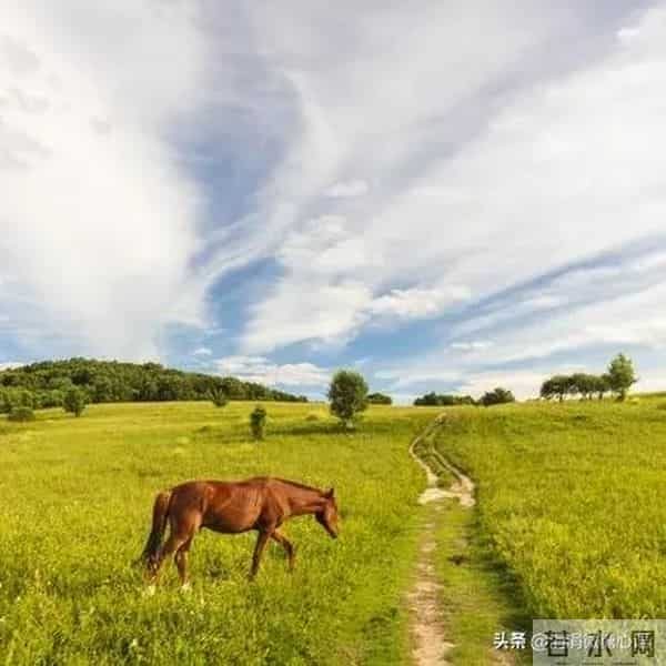 两性关系：为什么退休后夫妻之间，比年轻时更容易发生争吵？