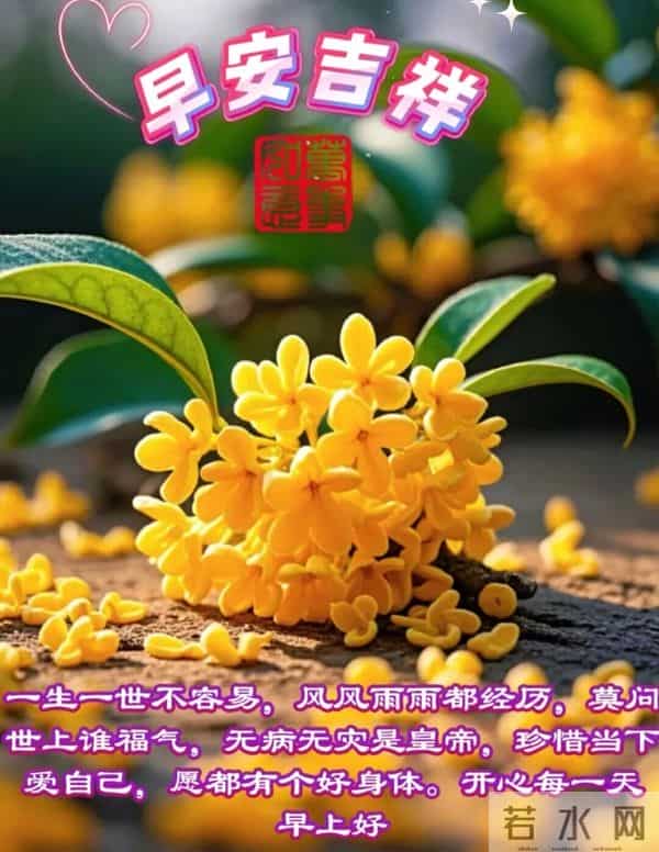 2025年11月27日早上好 周四愉快温馨祝福 早安最新精美图片 早上好