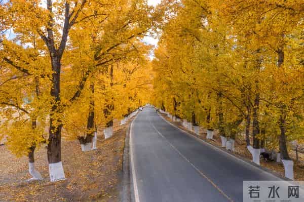 两性关系：男人过六十，永远不要在妻子面前，做这4件事