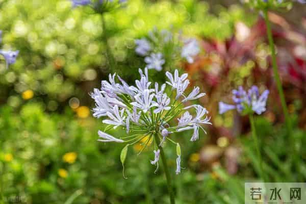夫妻的醒悟:没有第三者,再大的矛盾都能解决