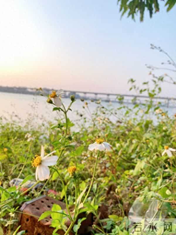 对付小人恶人,最好的方式不是硬碰硬,而是做好这3点