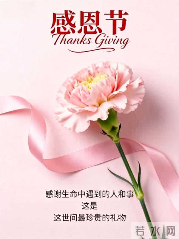 30条感恩节走心文案,心怀感恩,所遇皆温柔!