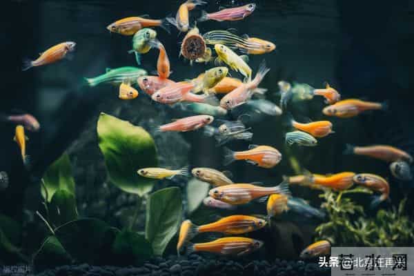 感恩节,你最想感恩的是谁?我选母亲