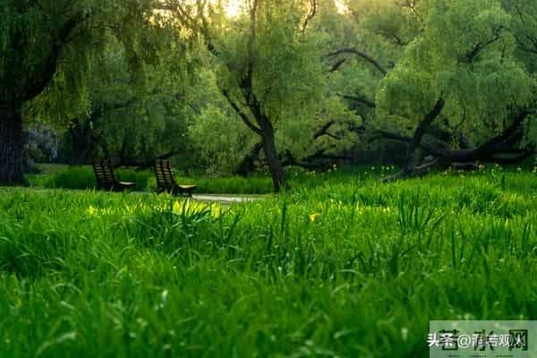 女人到了中年要明白：其实爱不爱已经不重要了，男人而已