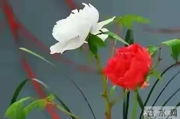 关系再亲密，女人身上也有2个“禁区”，男人千万别碰！