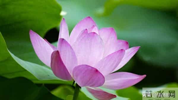 当你刷到我，就证明你要迎接大运了，祝愿你一帆风顺，好事连连