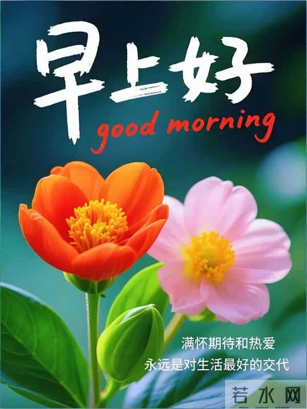 2025年11月27日周四早安 冬日暖心早安图片 愿你事事顺意 周四愉快