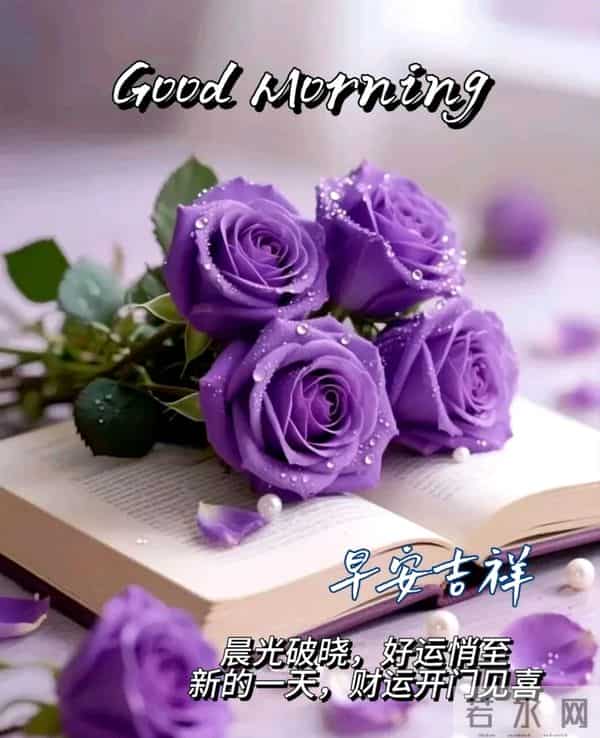 吉祥安康祝福图丨相知无远近，贵在心连心