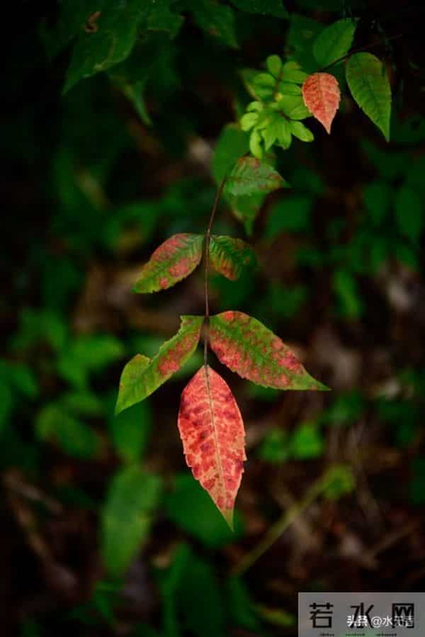 人老了,最嫌弃你的人是谁?主要有三人,看完你就明白了
