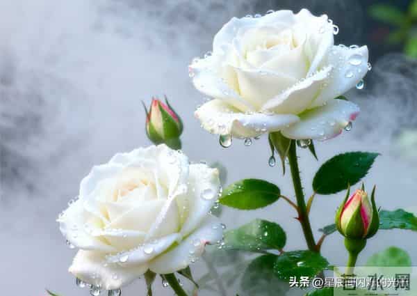 以孤勇踏上新征途，清醒道别旧时光，告别过去才能迎来全新人生