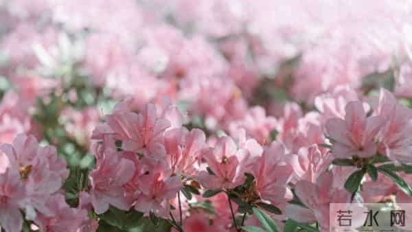 处女座近期感情&财运播报:钱来敲门,烂桃花快溜!