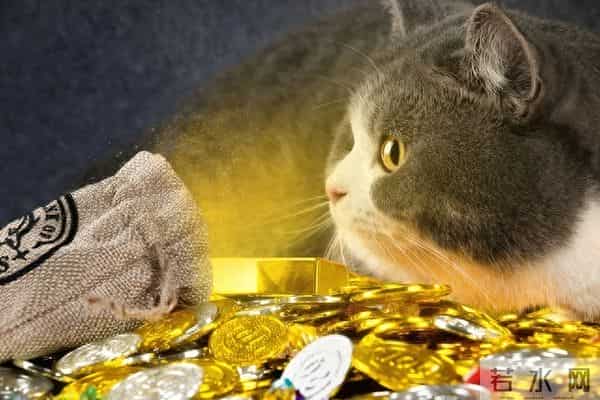 发财的秘诀,就是每天雷打不动循环这五件小事