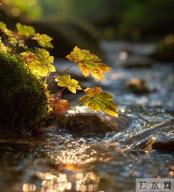 老了才明白：与子女的最高级相处，不是付出，而是“归零”