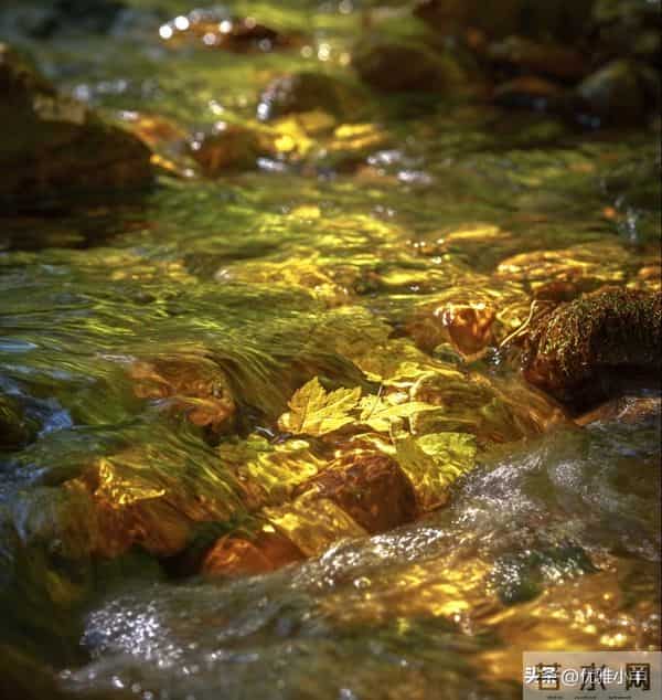 老了才明白：与子女的最高级相处，不是付出，而是“归零”