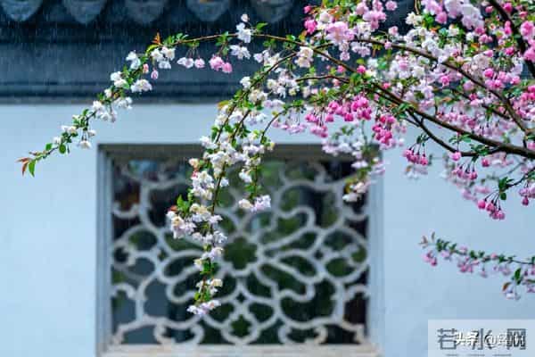 人有没有本事一看脾气便知,脾气越倔强、越硬的人,命越薄