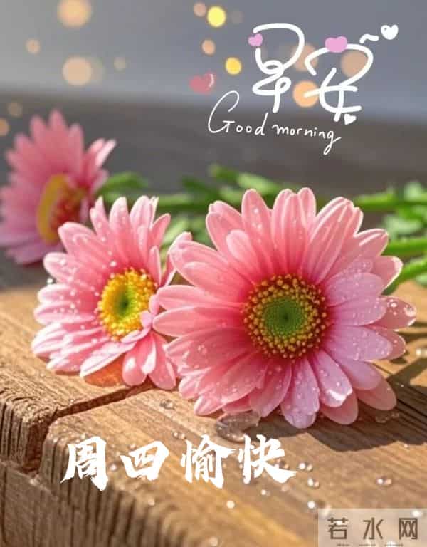 2025年11月27日早上好 早安温馨精美美图祝福语 早安周四愉快 早上好