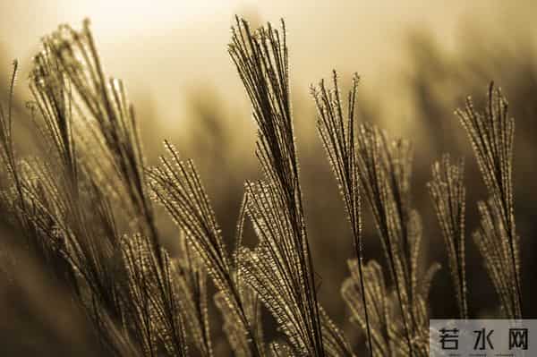 人活着总要洒脱一些,别总是陷在无用的内耗里